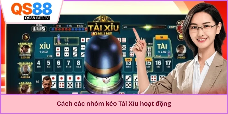 Cách các nhóm kéo Tài Xỉu hoạt động